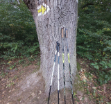 STANE SA NORDIC WALKING ŠPORTOM BUDÚCNOSTI?